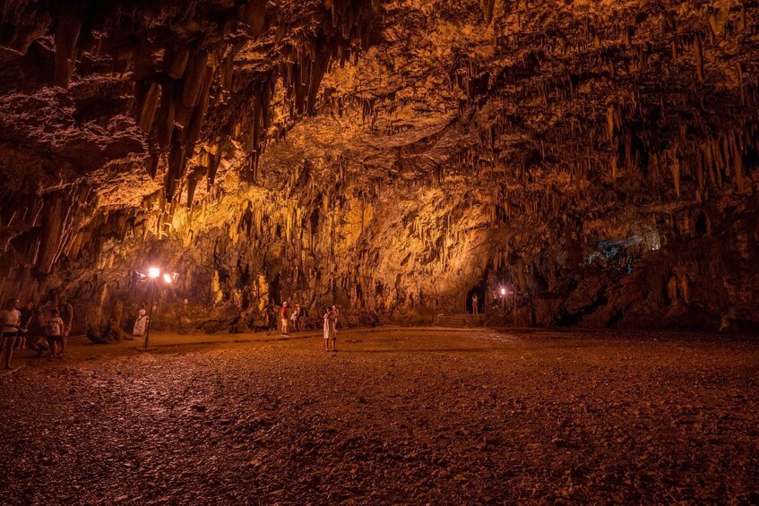 Picture 2 for Activity Kefalonia: The Caves & Myrtos beach