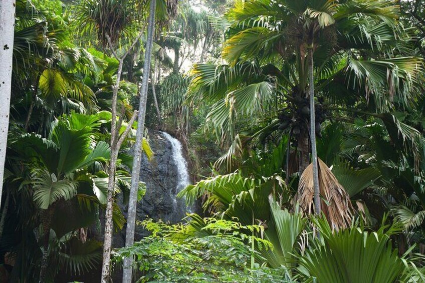 VALLEE DE MAI