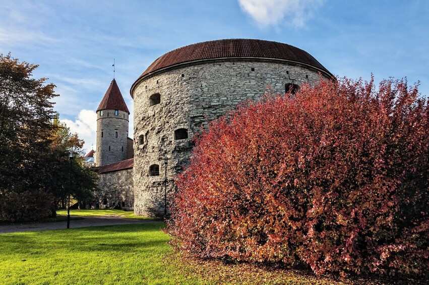 The Secrets of Old Tallinn: a Historical Walk with Self-Guided Audio Tour