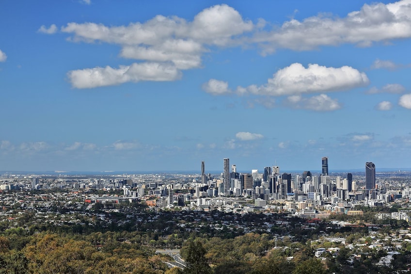 Brisbane City Botanic Gardens with Self-Guided Audio Tour