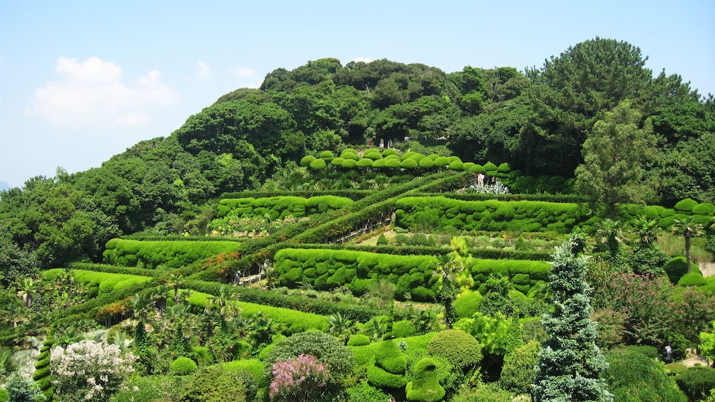 Terraces of different vegetation in Oedo Botania
