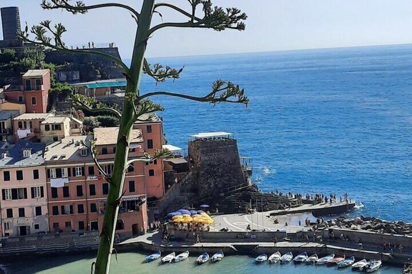 Full day tour in Cinque Terre