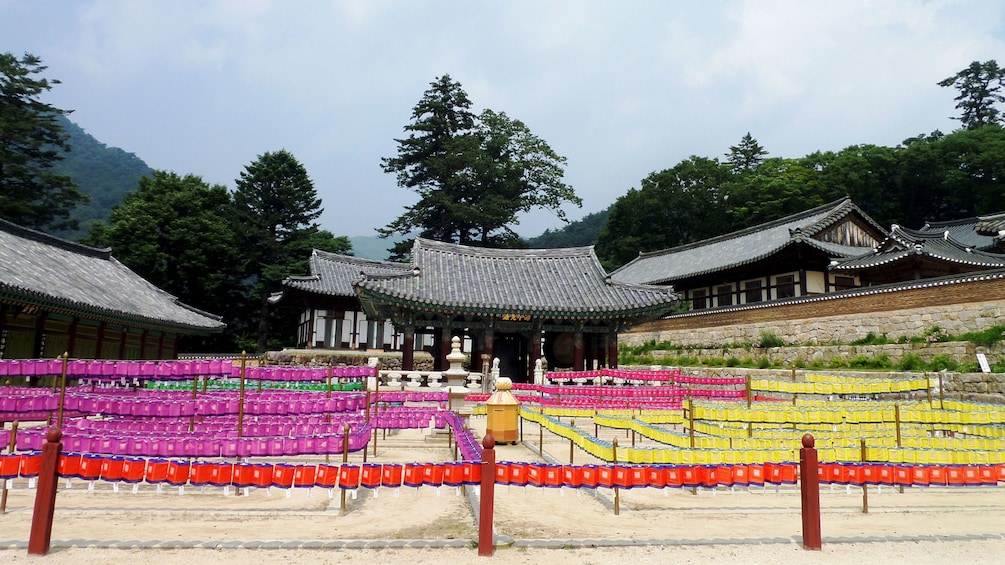 Temples with colorful paper lanterns marking out pathways in Gyeongju