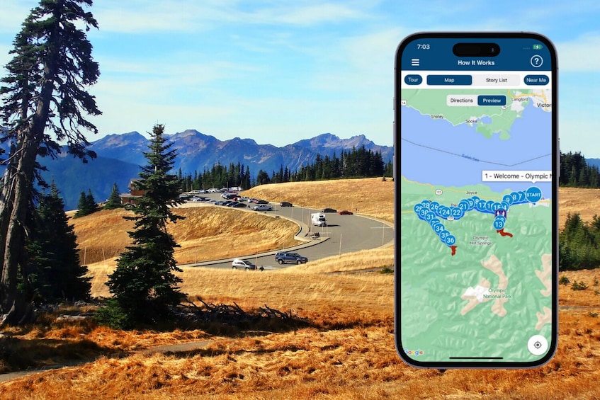 Olympic National Park Tour: Self-Guided Drive