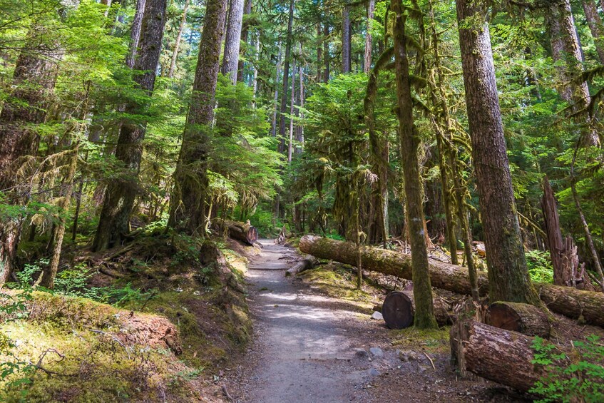 Olympic National Park Self-Guided Driving Audio Tour