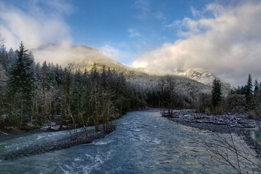 Olympic National Park Self-Guided Driving Audio Tour