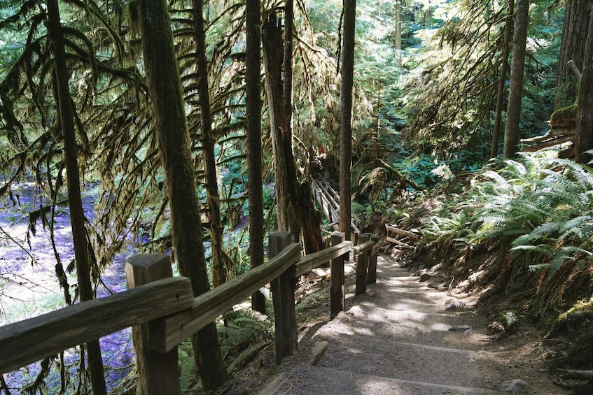 Olympic National Park Self-Guided Driving Audio Tour