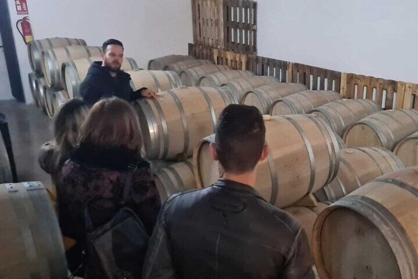 Guided Visit to a pretty vineyard and cellar, with five wines tasting and tapas