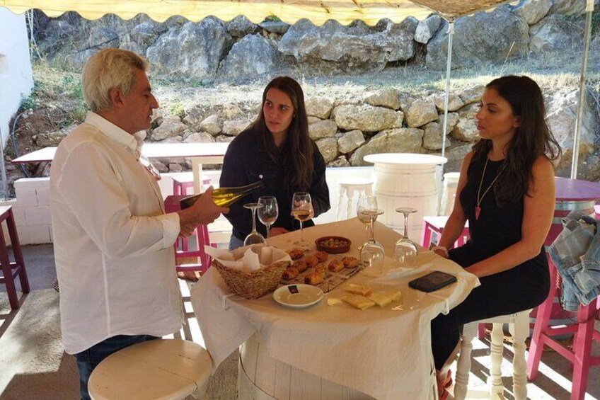 Guided Visit to a pretty vineyard and cellar, with five wines tasting and tapas