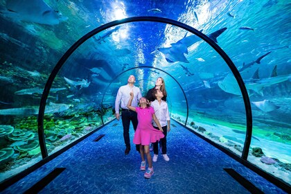Abu Dhabi: Grand Mosque & The National Aquarium Guided Tour