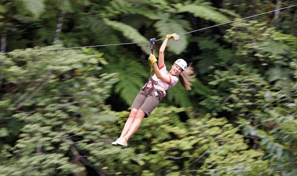 Treetops Zipline tour with MUDPOOL Combo