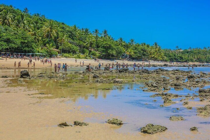 4-Day Guided Tour in Porto Seguro