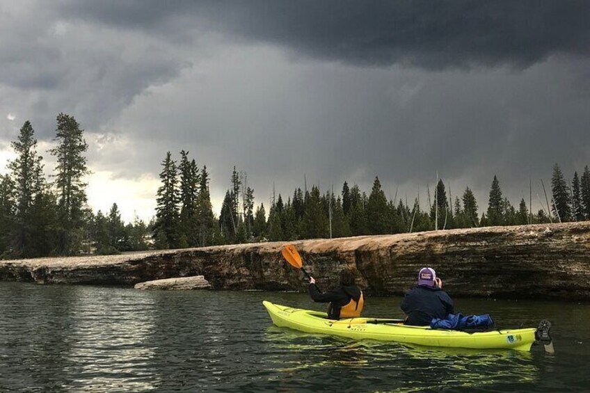 Yellowstone Lake & Hot Springs / 3 Hour Morning or Twilight Tour