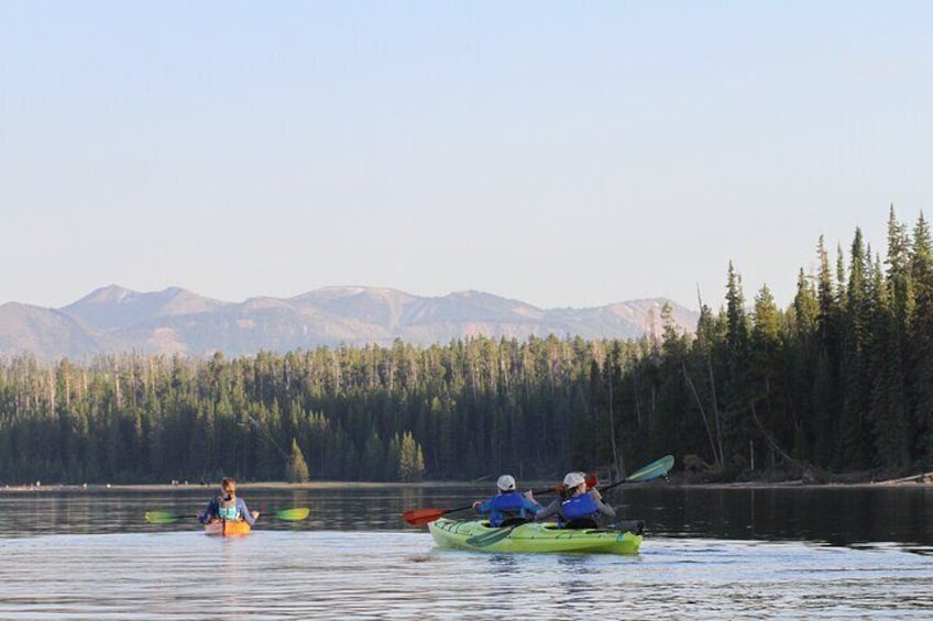 Yellowstone Lake & Hot Springs / 3 Hour Morning or Twilight Tour