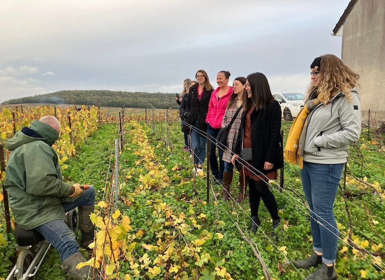 Picture 2 for Activity Reims/Epernay: Champagne Day Tour with Tastings