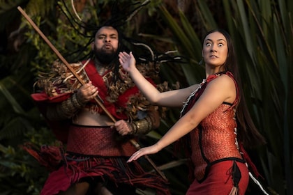 โรโตรัว: ประสบการณ์ทางวัฒนธรรม Te Pa Tu Māori พร้อมอาหารค่ำ