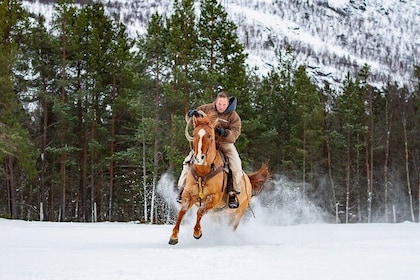 Horseback riding
