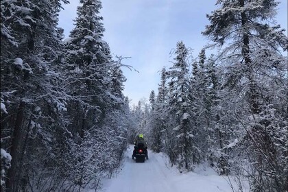 Yellowknife: Backcountry Snowmobile Tour with Winter Gear