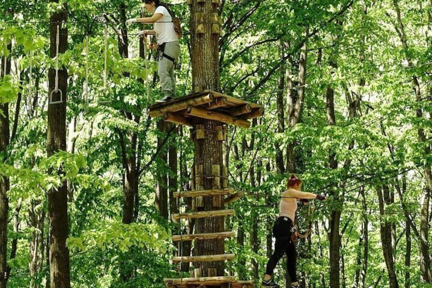 Outdoor Activities: Adventure park, climbing, horse riding, paint ball and more