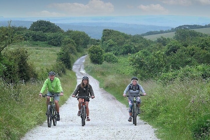 Private E-Bike Tour over South Downs with Private Wine Tasting