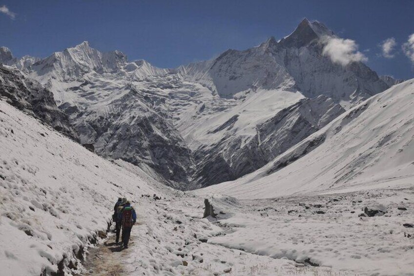 Dominating Fishtail view from Annapurna Base Camp trail
