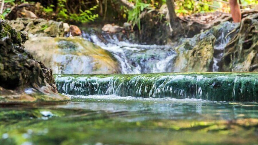 Krabi's Hidden Gems: Emerald Pool & Hot Spring Tour