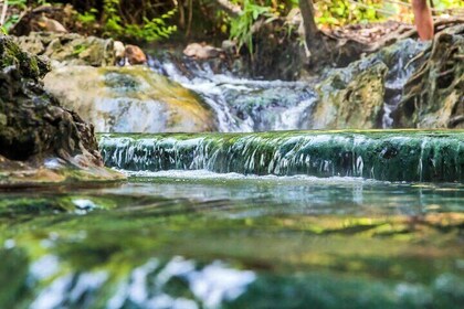 Krabi Jungle Tour to Emerald Pool and Hot Spring