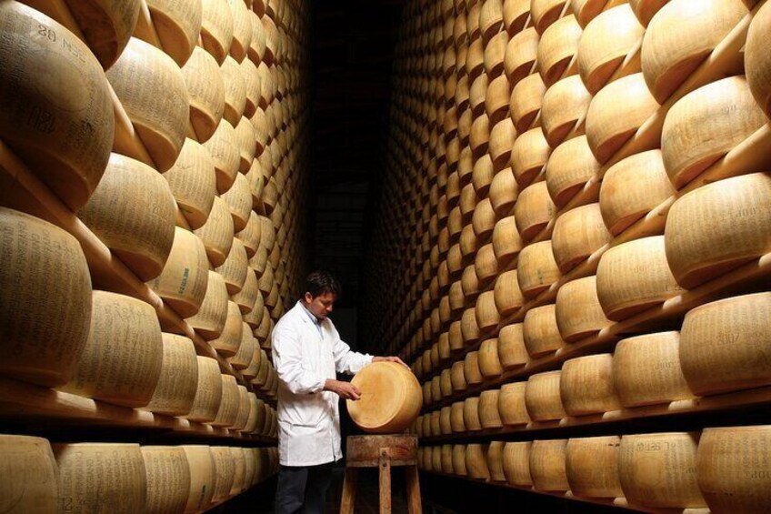 Parmigiano Cheese Factory Visit and Tasting
