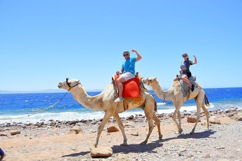 Sharm El Sheikh: Colored Canyon, Blue Hole & Dahab City Tour
