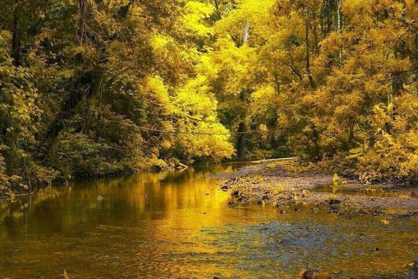 Palomino Natural Pool Hiking Activity