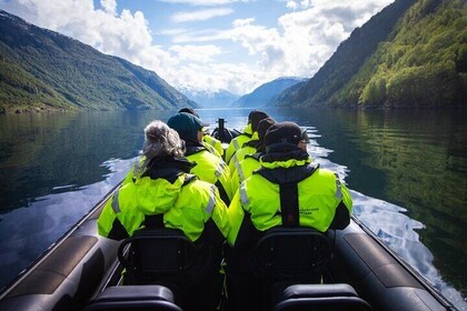 Ulvik Ultimate Hardangerfjord RIB adventure