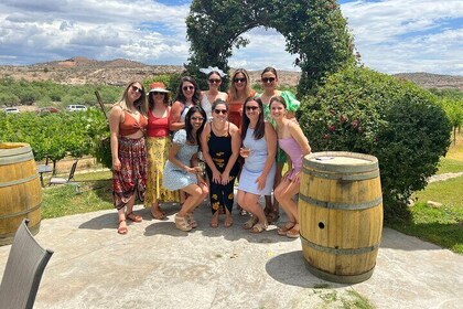 Private Vineyard Wine Tasting for 2-3 people from Scottsdale/PHX