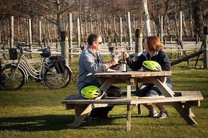 Self-Guided Wine Tours by Bike with Steve & Jo in Marlborough