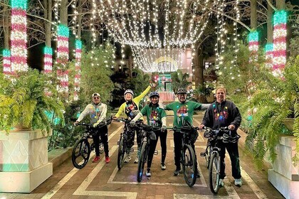 Dallas Bicycle Tours Holiday Light Ride