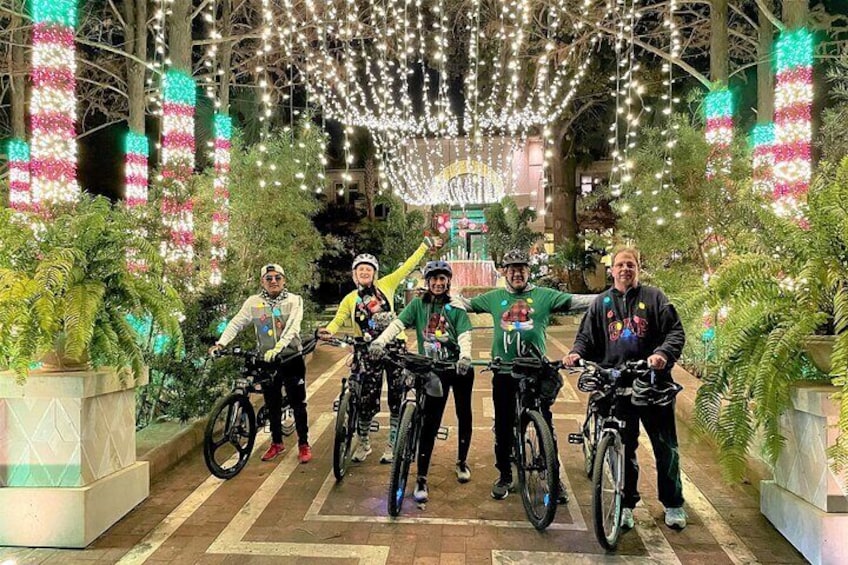 Dallas Bicycle Tours Holiday Light Ride