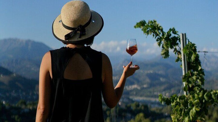 Vineyard Tour with Wine Tasting