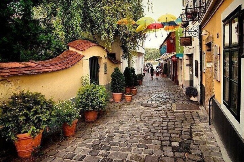 Full-Day Private Tour from Budapest to Picturesque Szentendre and Vac