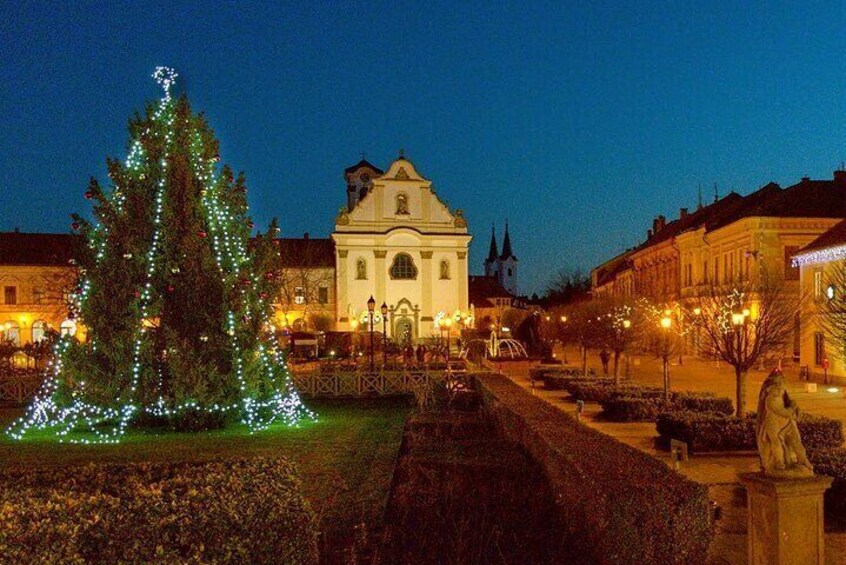 Winter Tour to Picturesque Szentendre and Vac from Budapest