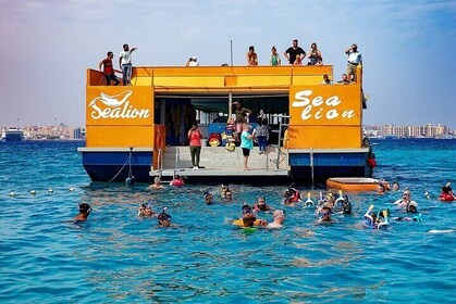 Desde Hurghada: Sea Lion Semi Submarine con snorkel