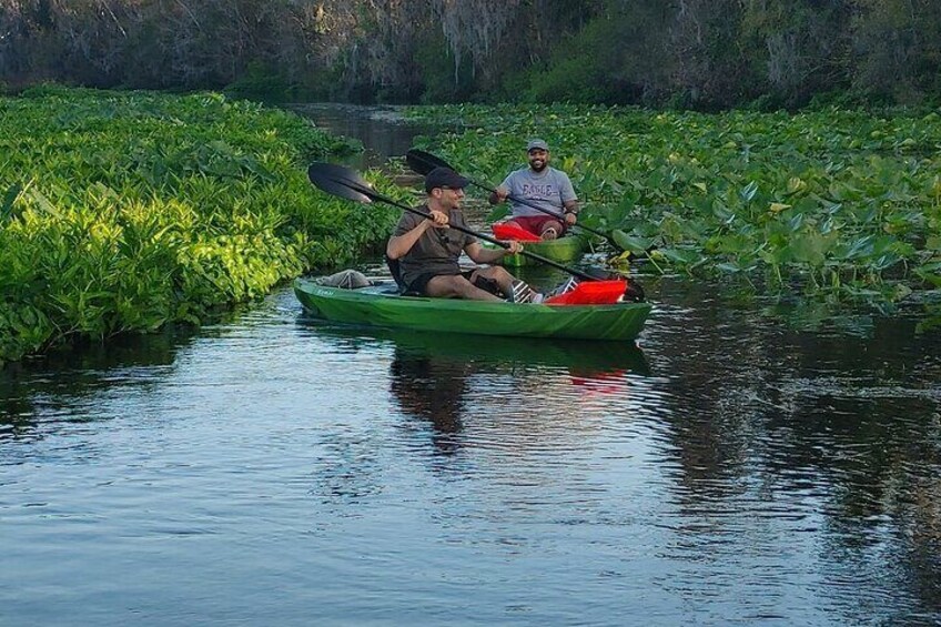 Adventure Wildlife Kayak Tour