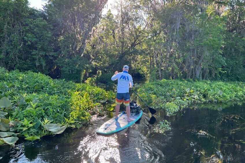 Adventure Wildlife Kayak Tour