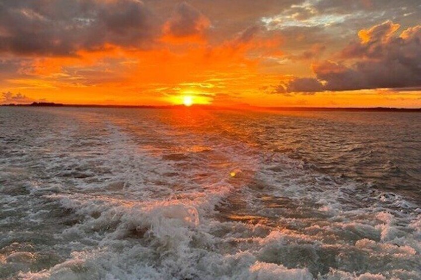 Hilton Head Island Sunset Dolphin Tour