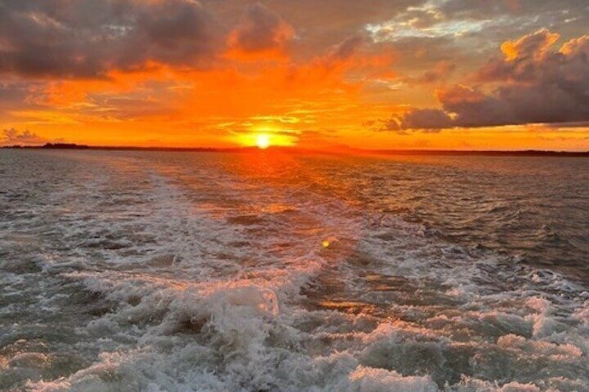 Hilton Head Island Sunset Dolphin Tour