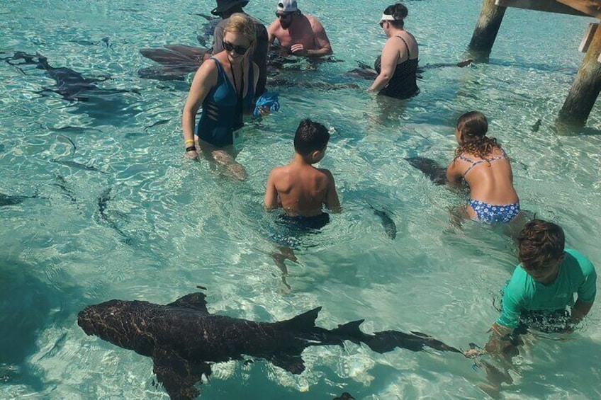 Sharks