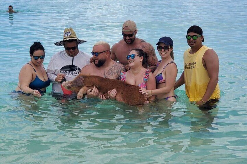 Swimming pigs In Bahamas