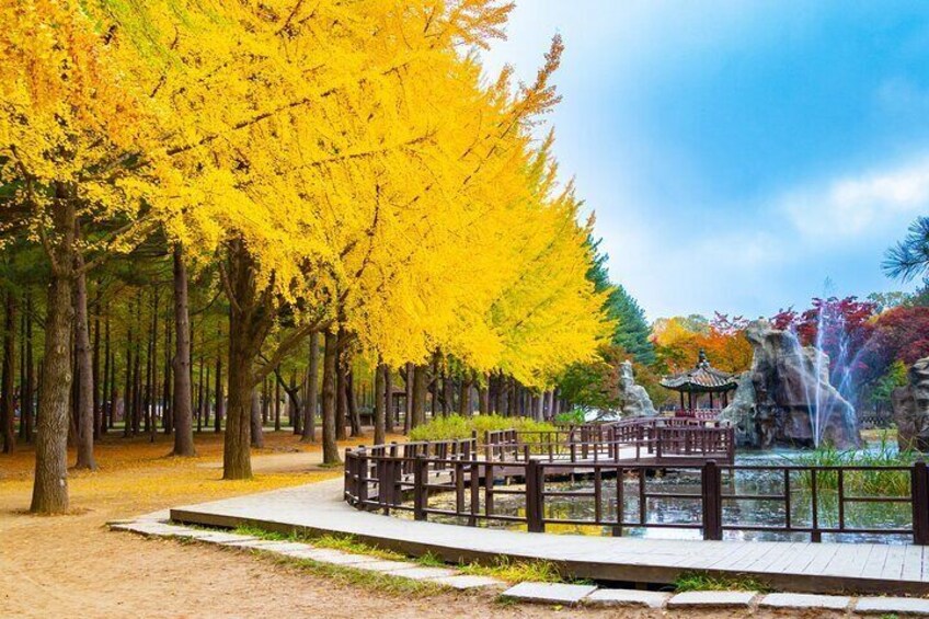 Alpaca World & Nami Island & Garden of Morning Calm One Day Tour