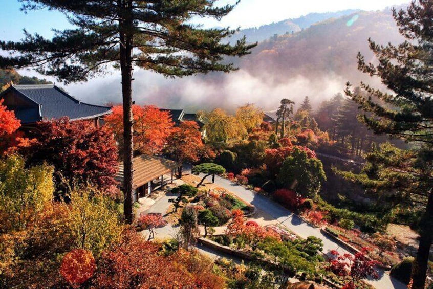 Alpaca World & Nami Island & Garden of Morning Calm One Day Tour