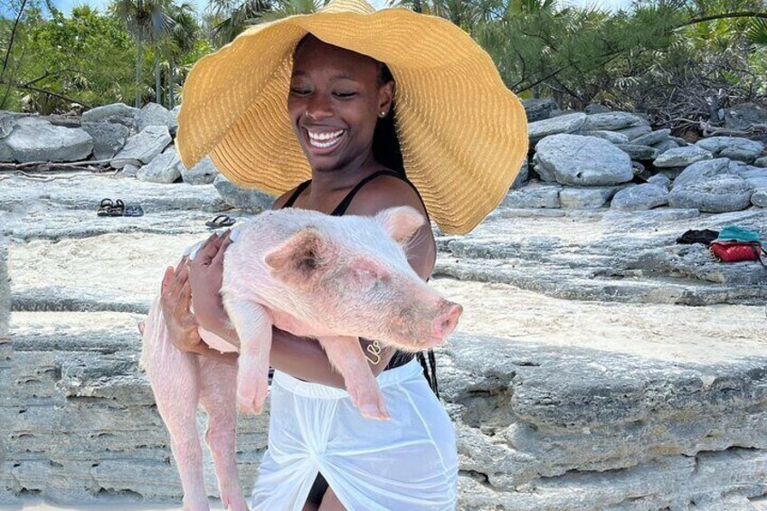 Swimming Pigs Tour on Rose Island
