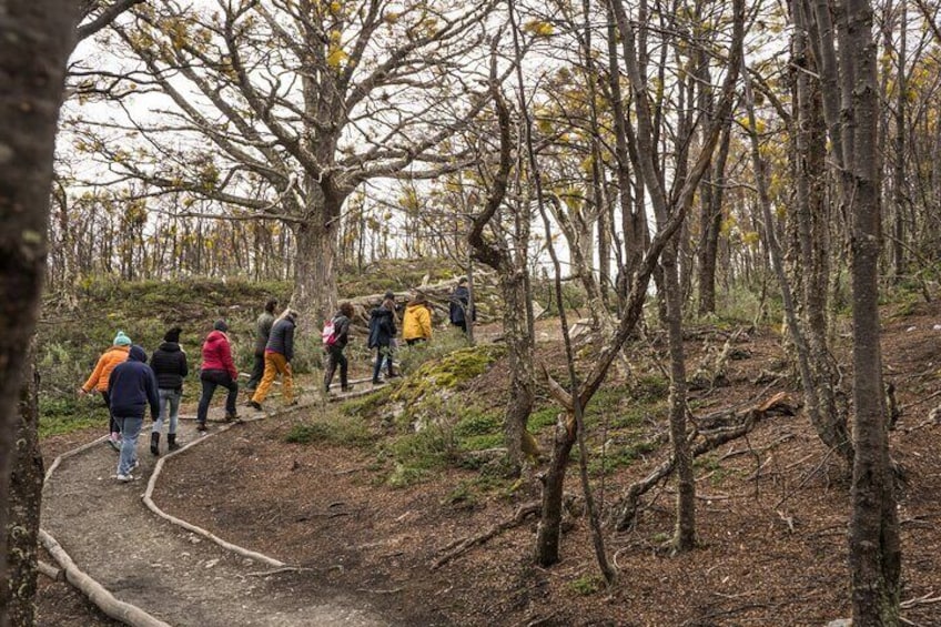 Tierra del Fuego National Park
