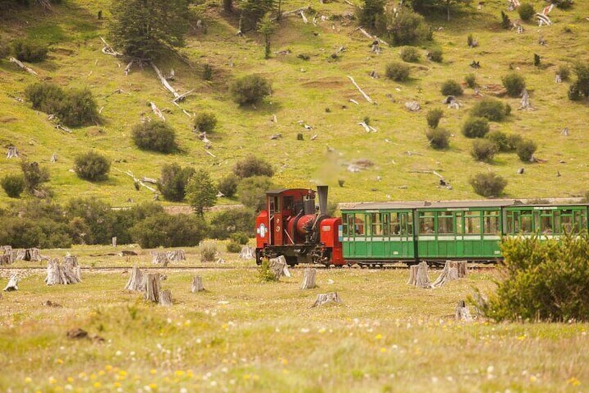End of the World Train in the National Park